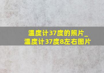 温度计37度的照片_温度计37度8左右图片