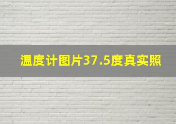 温度计图片37.5度真实照