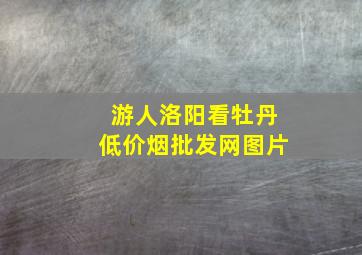 游人洛阳看牡丹(低价烟批发网)图片