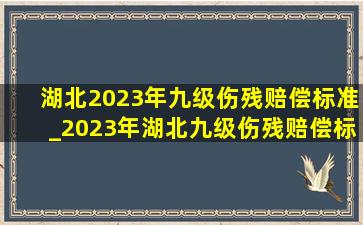 湖北2023年九级伤残赔偿标准_2023年湖北九级伤残赔偿标准