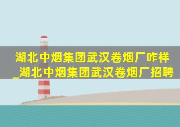 湖北中烟集团武汉卷烟厂咋样_湖北中烟集团武汉卷烟厂招聘