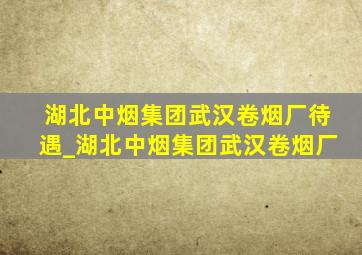 湖北中烟集团武汉卷烟厂待遇_湖北中烟集团武汉卷烟厂