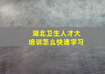 湖北卫生人才大培训怎么快速学习