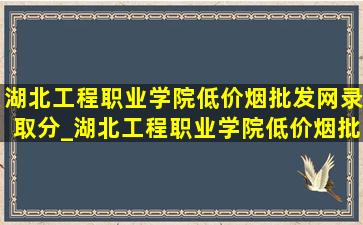 湖北工程职业学院(低价烟批发网)录取分_湖北工程职业学院(低价烟批发网)分数线多少