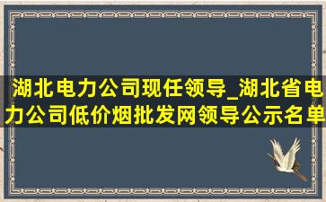 湖北电力公司现任领导_湖北省电力公司(低价烟批发网)领导公示名单