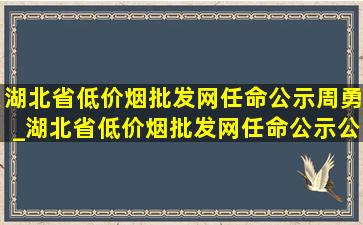 湖北省(低价烟批发网)任命公示周勇_湖北省(低价烟批发网)任命公示公安厅长