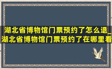 湖北省博物馆门票预约了怎么退_湖北省博物馆门票预约了在哪里看