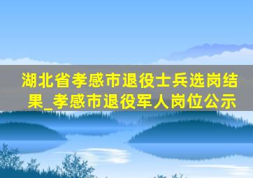 湖北省孝感市退役士兵选岗结果_孝感市退役军人岗位公示