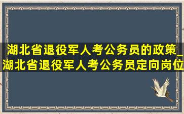 湖北省退役军人考公务员的政策_湖北省退役军人考公务员定向岗位