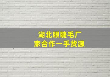 湖北眼睫毛厂家合作一手货源