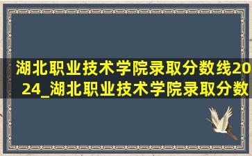 湖北职业技术学院录取分数线2024_湖北职业技术学院录取分数线2023