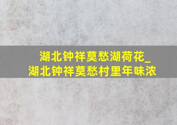 湖北钟祥莫愁湖荷花_湖北钟祥莫愁村里年味浓