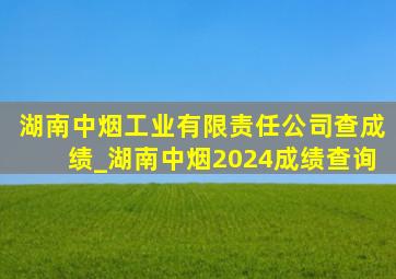 湖南中烟工业有限责任公司查成绩_湖南中烟2024成绩查询