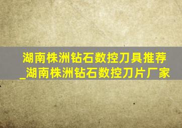 湖南株洲钻石数控刀具推荐_湖南株洲钻石数控刀片厂家