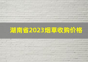 湖南省2023烟草收购价格