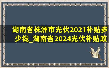 湖南省株洲市光伏2021补贴多少钱_湖南省2024光伏补贴政策