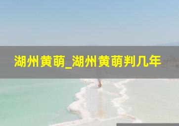 湖州黄萌_湖州黄萌判几年