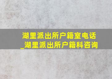 湖里派出所户籍室电话_湖里派出所户籍科咨询