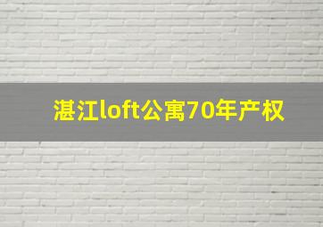 湛江loft公寓70年产权