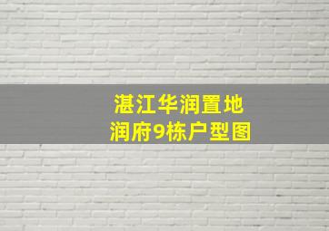 湛江华润置地润府9栋户型图