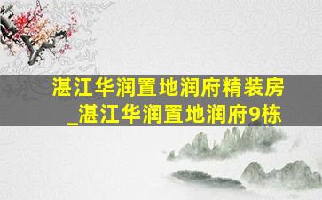 湛江华润置地润府精装房_湛江华润置地润府9栋