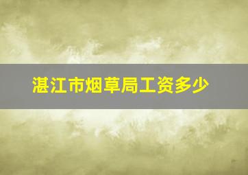 湛江市烟草局工资多少