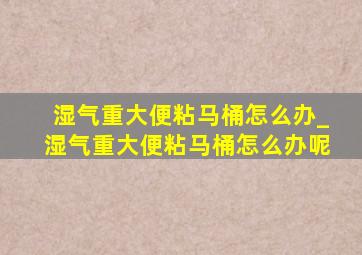 湿气重大便粘马桶怎么办_湿气重大便粘马桶怎么办呢