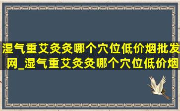 湿气重艾灸灸哪个穴位(低价烟批发网)_湿气重艾灸灸哪个穴位(低价烟批发网)穴位图