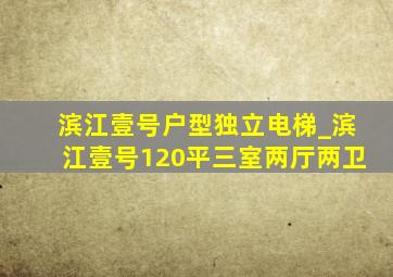 滨江壹号户型独立电梯_滨江壹号120平三室两厅两卫