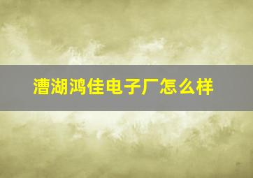 漕湖鸿佳电子厂怎么样