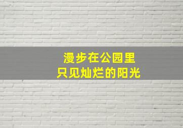 漫步在公园里只见灿烂的阳光