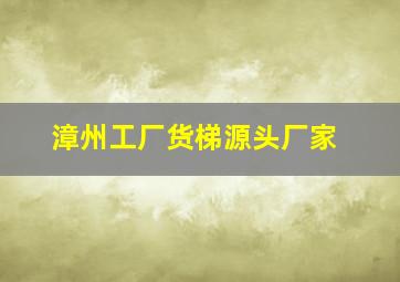 漳州工厂货梯源头厂家