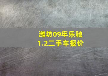 潍坊09年乐驰1.2二手车报价