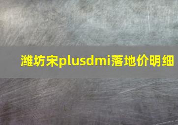 潍坊宋plusdmi落地价明细