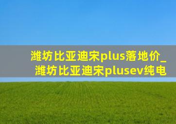 潍坊比亚迪宋plus落地价_潍坊比亚迪宋plusev纯电