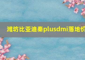 潍坊比亚迪秦plusdmi落地价