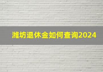 潍坊退休金如何查询2024