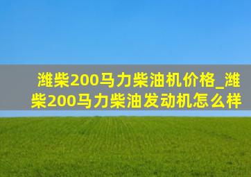 潍柴200马力柴油机价格_潍柴200马力柴油发动机怎么样