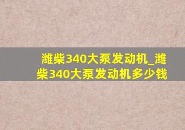 潍柴340大泵发动机_潍柴340大泵发动机多少钱