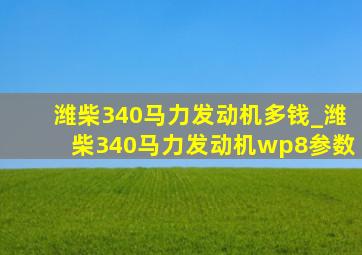 潍柴340马力发动机多钱_潍柴340马力发动机wp8参数