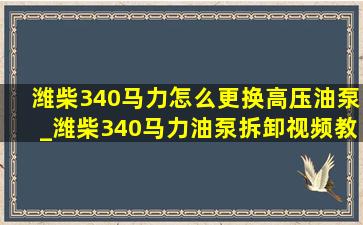 潍柴340马力怎么更换高压油泵_潍柴340马力油泵拆卸视频教程