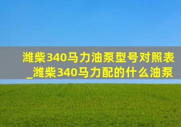 潍柴340马力油泵型号对照表_潍柴340马力配的什么油泵