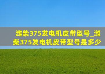 潍柴375发电机皮带型号_潍柴375发电机皮带型号是多少