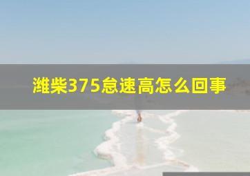 潍柴375怠速高怎么回事