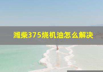 潍柴375烧机油怎么解决