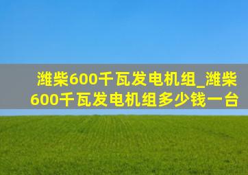 潍柴600千瓦发电机组_潍柴600千瓦发电机组多少钱一台