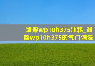 潍柴wp10h375油耗_潍柴wp10h375的气门调法