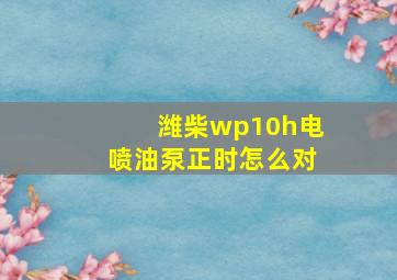 潍柴wp10h电喷油泵正时怎么对