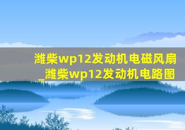 潍柴wp12发动机电磁风扇_潍柴wp12发动机电路图