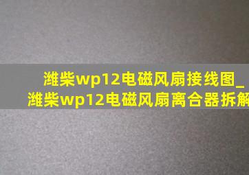 潍柴wp12电磁风扇接线图_潍柴wp12电磁风扇离合器拆解